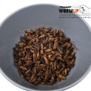 Chrumkavé cvrčky naturálne 80g WormUP Natural